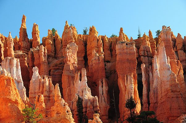 DSC_2477.jpg (4288x2848) NIKON D300 - 18-200mm f/3.5-5.6 // F7,1 // 1/200 sec // ISO 400 // 56,0 mm // no Flash // 2008:07:15 07:13:23 DSC_2477.jpg (4288x2848) NIKON D300 - 18-200mm f/3.5-5.6 // F7,1 // 1/200 sec // ISO 400 // 56,0 mm // no Flash // 2008:07:15 07:13:23